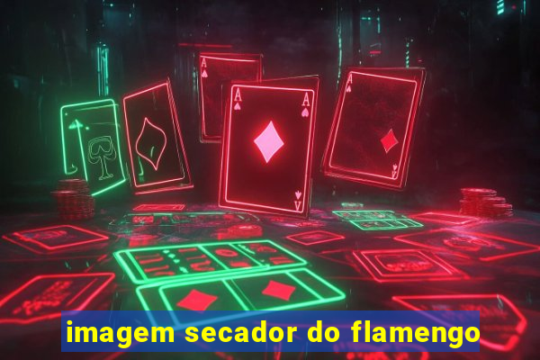 imagem secador do flamengo